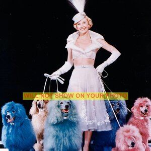 Photo Collectible Print 8x10 Hollywood Actress Lovely Doris Day - Yes More Pics